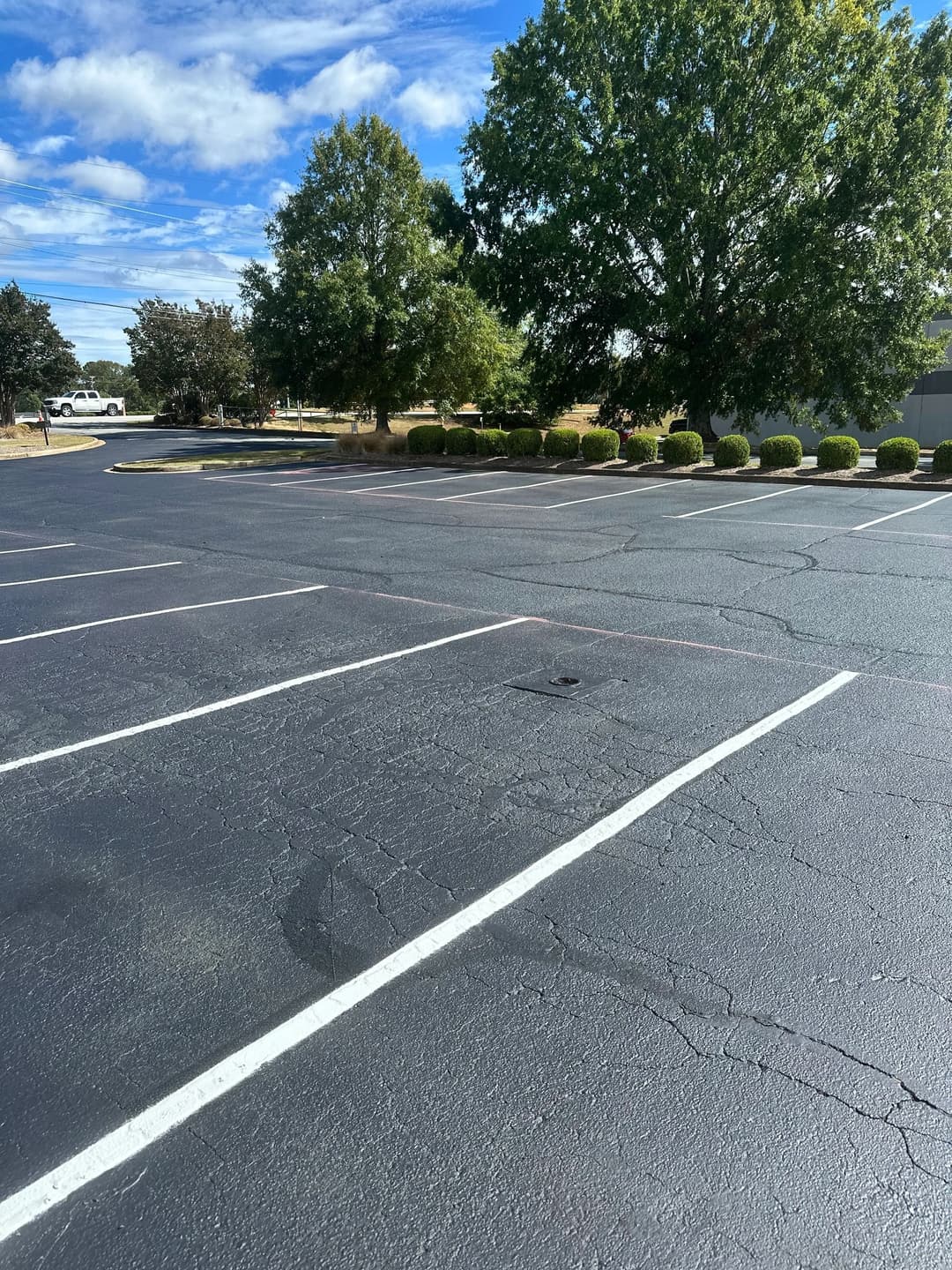 Empty asphalt parking lot with clear blue skies and trees in the background.