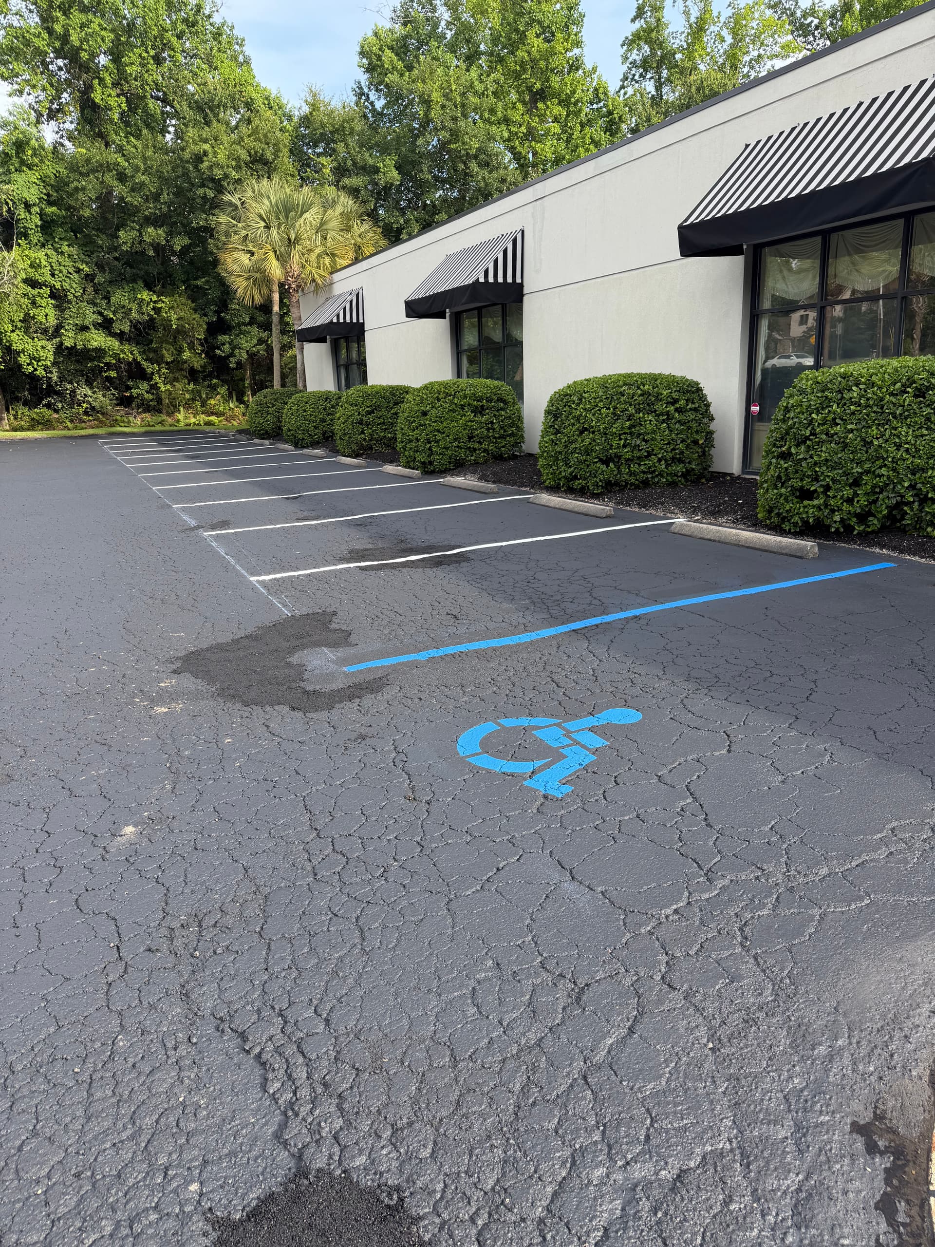 Gallery photos for Seal Coat and Fresh Striping at Southeastern Galleries: Image #2